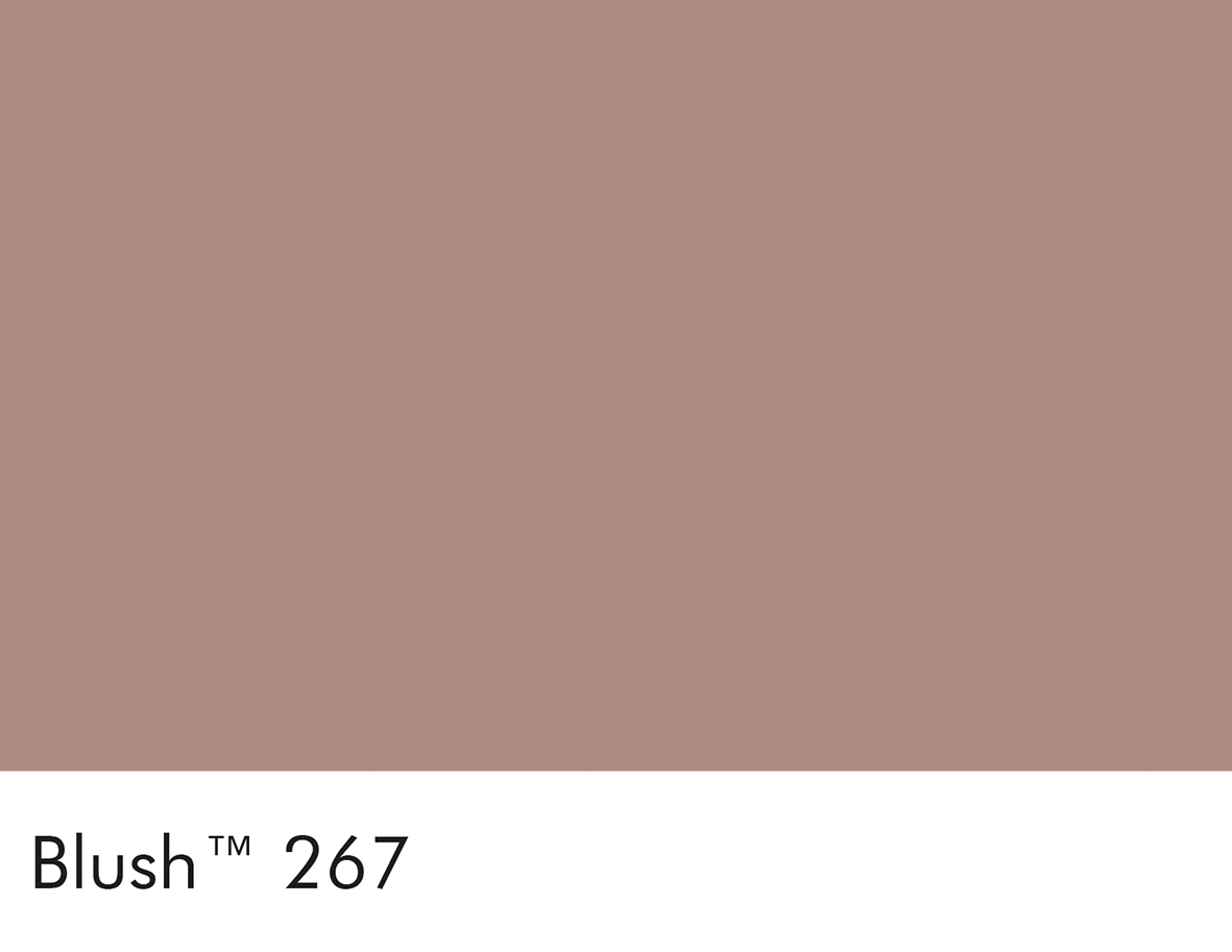 Blush (267)