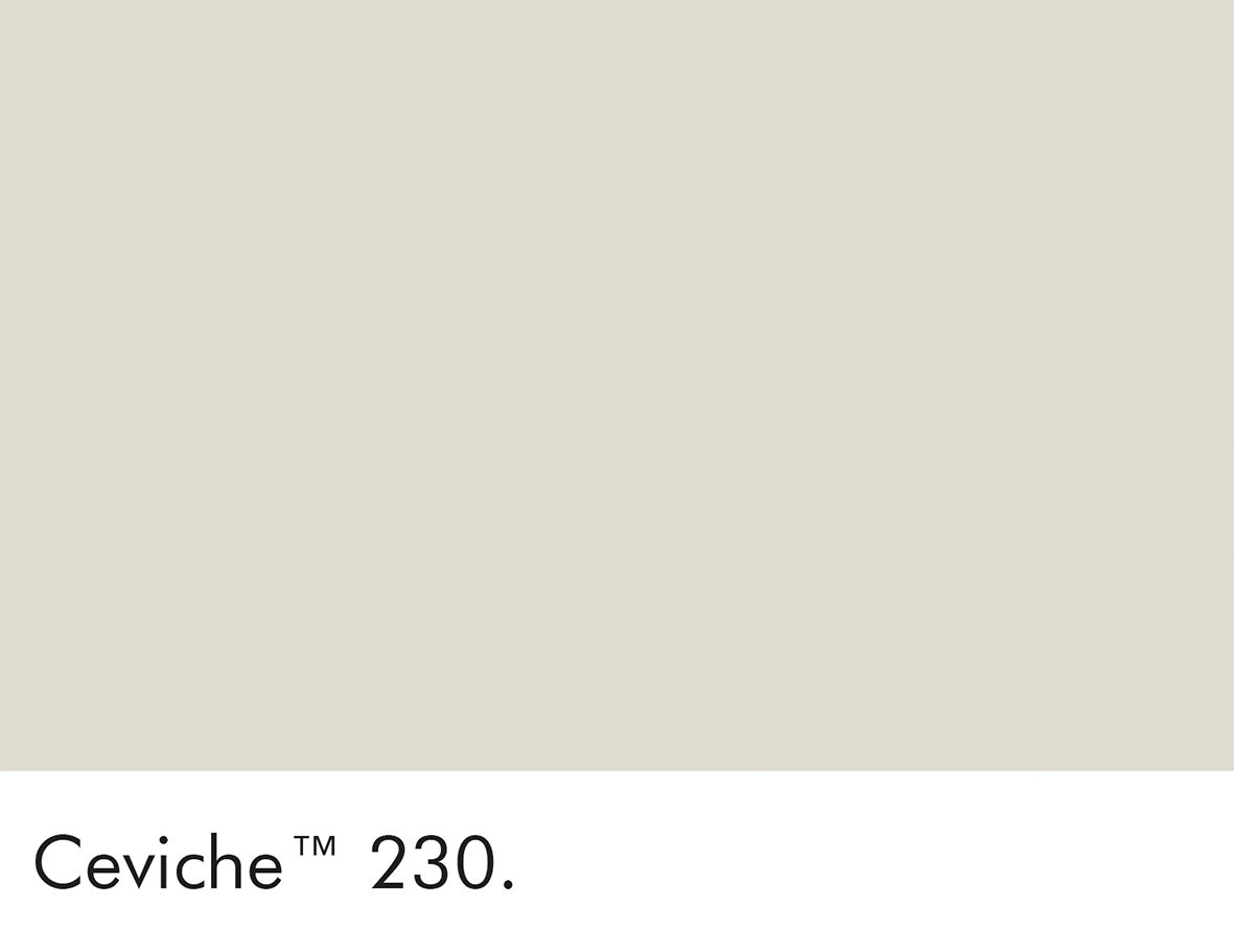 Ceviche (230)