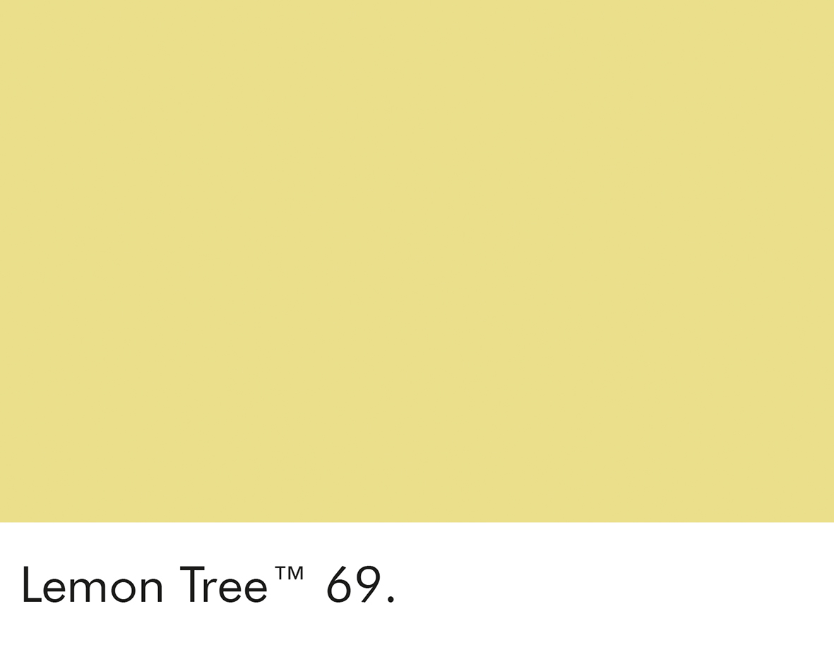 Lemon Tree (69)
