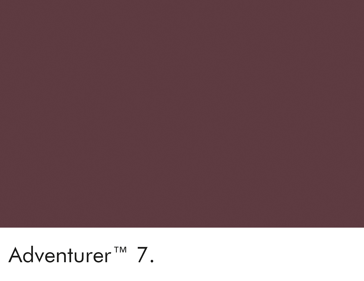 Adventurer (7)