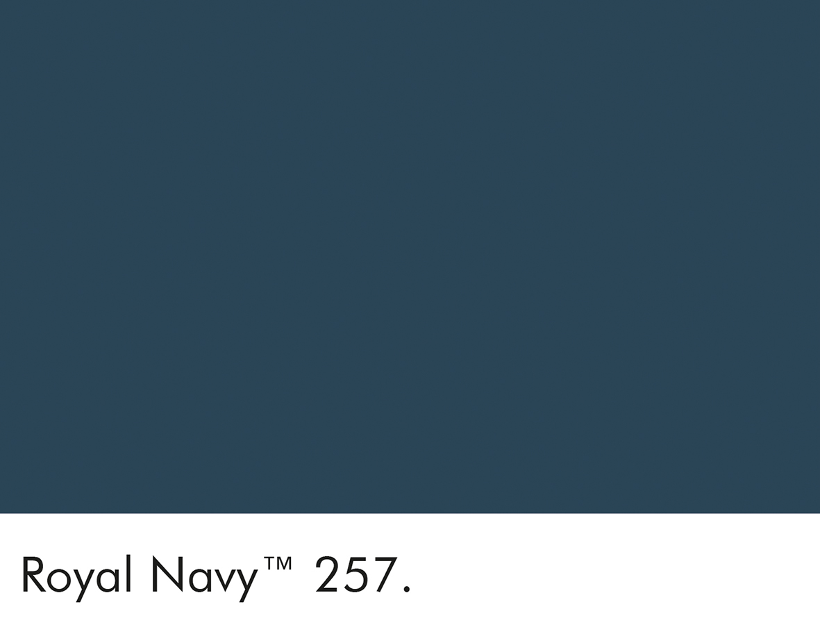 Royal Navy (257)