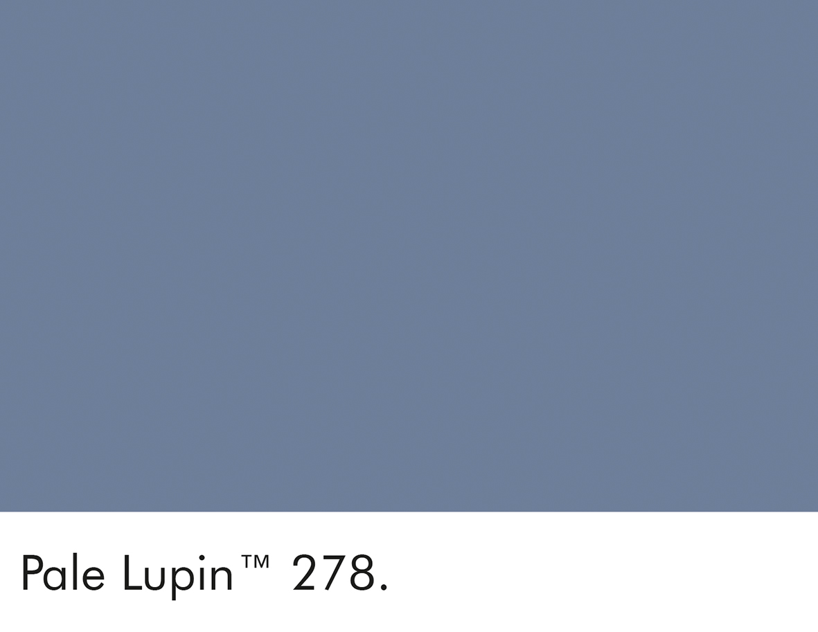 Pale Lupin (278)