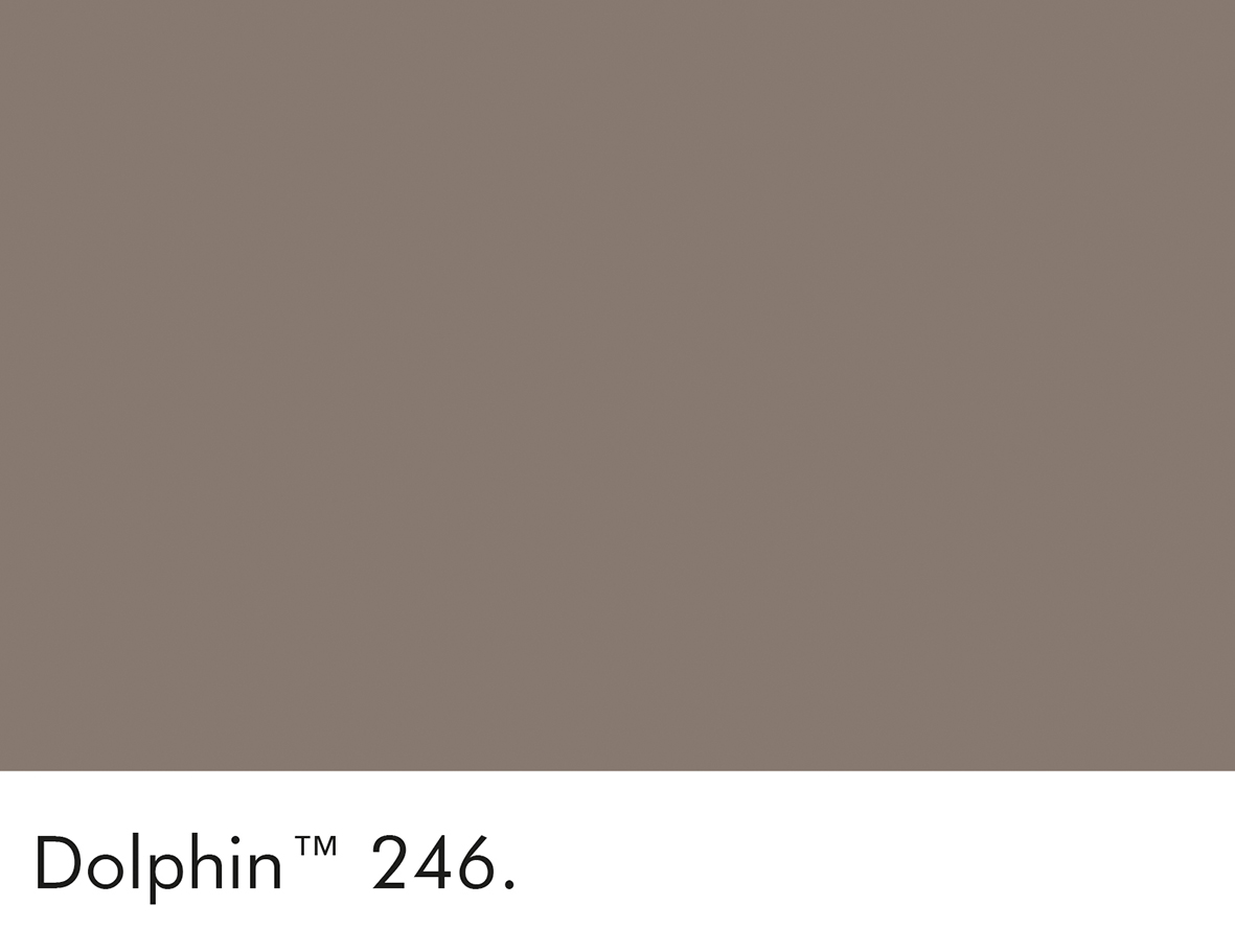 Dolphin (246)