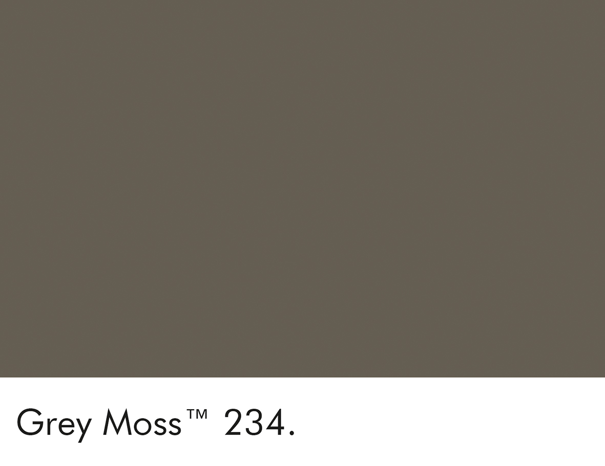Grey Moss (234)