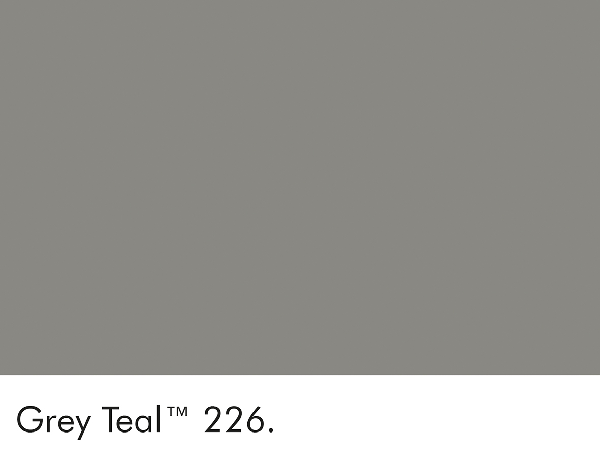Grey Teal (226)